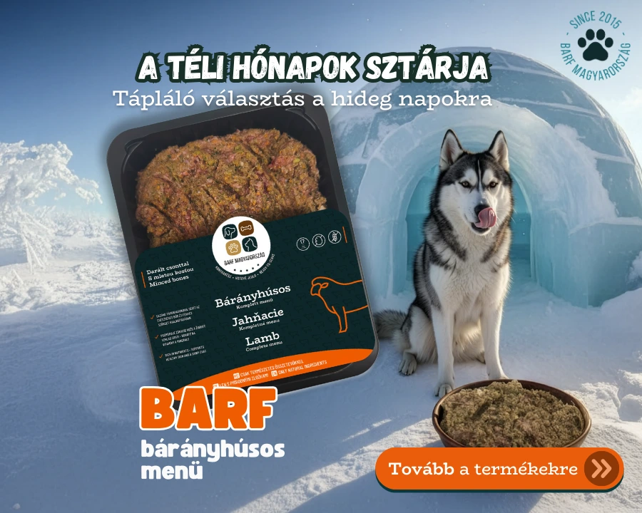 2601 – Bárányhúsos menü