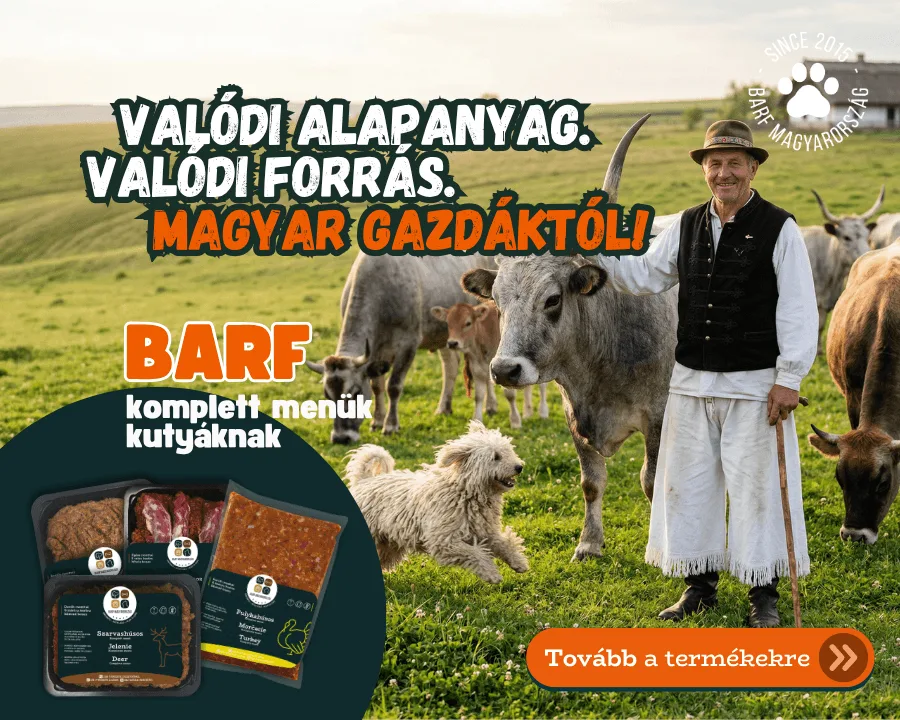 2603 – Magyar gazda